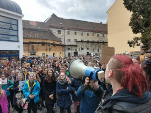 Studenti v Brně stávkovali za klima