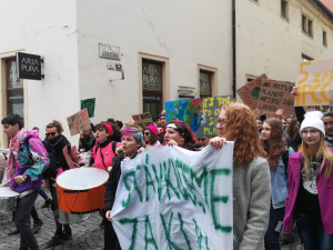 Studenti v Brně stávkovali za klima