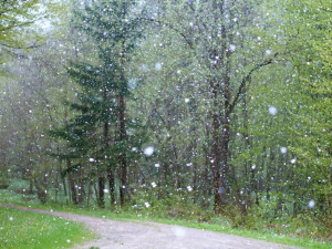 POČASÍ NA SOBOTU: Připravte si deštníky, bude pršet