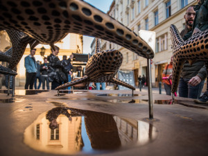 Autor: Tomáš Hrivňák