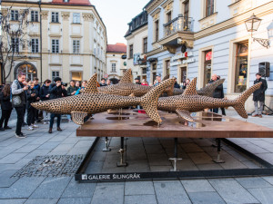 Autor: Tomáš Hrivňák