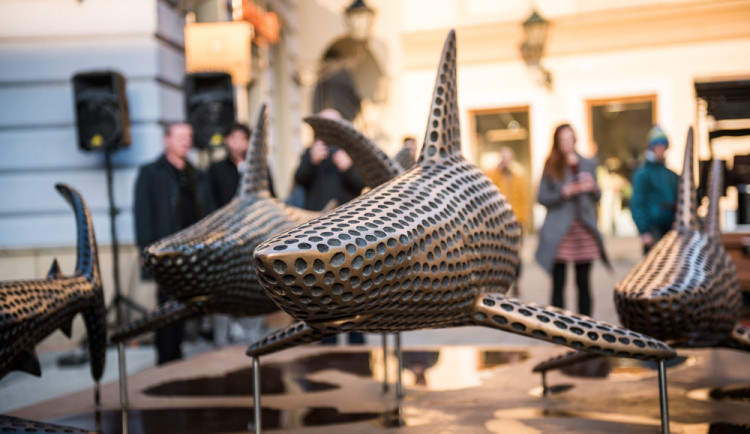 Autor: Tomáš Hrivňák