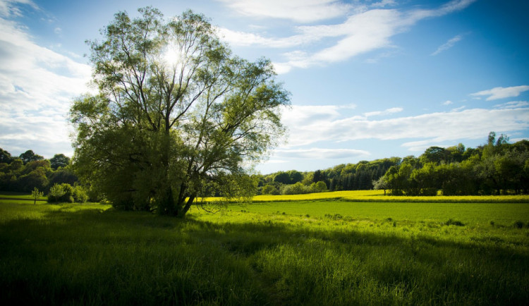 POČASÍ NA ČTVRTEK: Čeká nás slunečný, ale větrný den