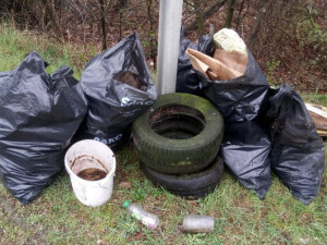 MP_Brno-Uklidme_Cesko_2019_1872