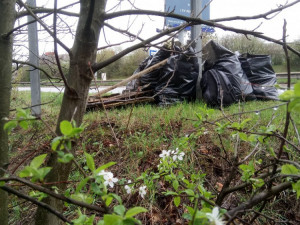 MP_Brno-Uklidme_Cesko_2019_1875