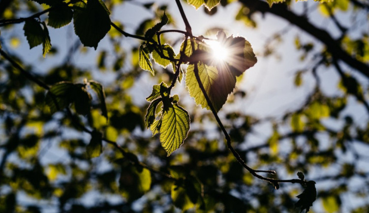 POČASÍ NA PONDĚLÍ: Týden začne velmi teplým jarním dnem