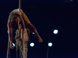 Střípky festivalu Encounter 2019