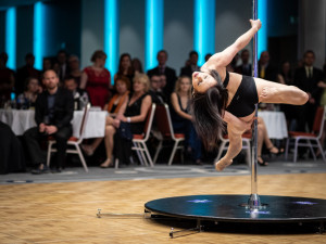 Momentky z Plesu pro Fenix