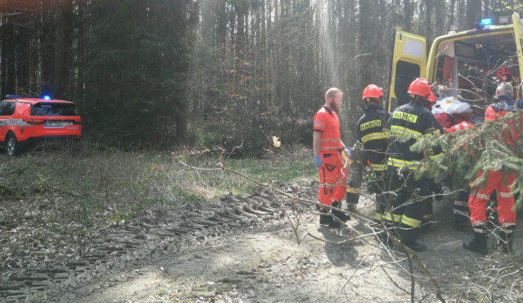 Při práci v lese na Vyškovsku spadl na muže strom, se středně těžkým zraněním skončil v nemocnici