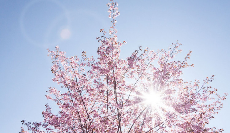 POČASÍ NA ČTVRTEK: Příjemných 16 až 19 stupňů, silnější vítr ani déšť nehrozí