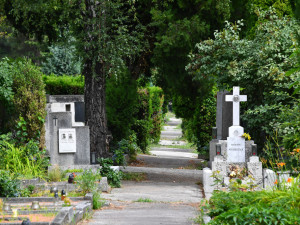 Pohřeb v Brně půjde objednat online, lidé tak nemusejí čekat na pracovní dobu Správy hřbitovů