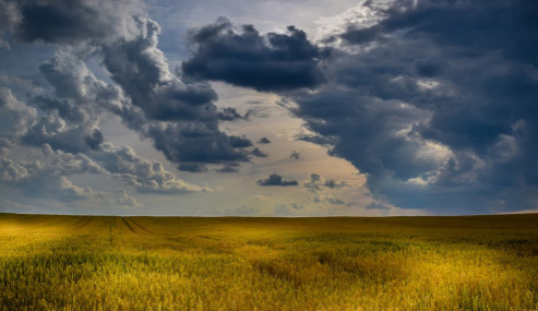 size3-15528832614877-124-agriculture-1846341-1280