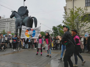 fridays for future 4