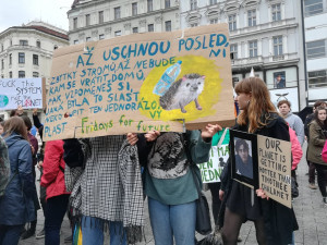 fridays fot future14