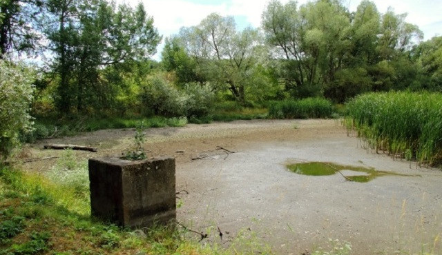 Čížovský malý rybník