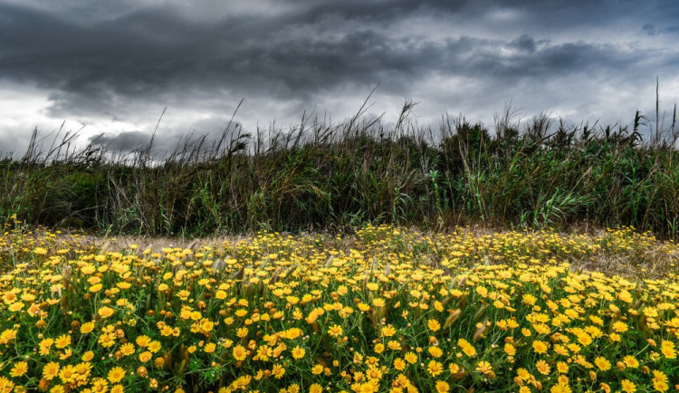 landscape-4137802_1280