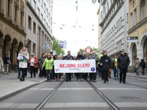 60067939_482569355903974_8091085934549794816_n