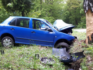 Řidič na Brněnsku vyjel z neznámých důvodů ze silnice a narazil do stromu, na místě zemřel
