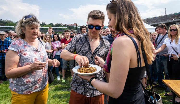 Lidé jedli na Extrem Food Festivalu červičervi