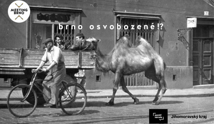 Brno osvobozené?