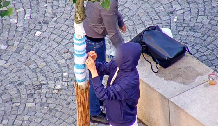VIDEO: Dvě ženy nad ránem tajně oblékaly stromy v centru Brna do pletených deček