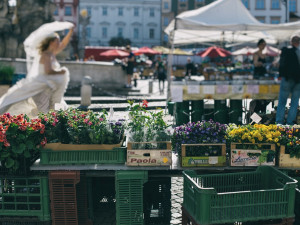 trailer_Jan Vrba (3)