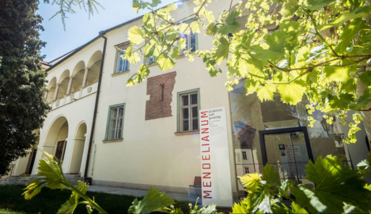 Žáci prvních tříd dostanou na jižní Moravě lístky do muzeí
