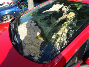 FOTO: Řidičce v Brně někdo polil auto nechutnou smradlavou hmotou
