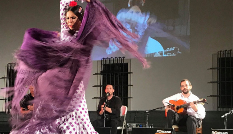 Mezinárodní kytarový festival