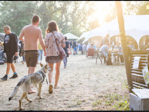 beseda tomík vybrané5