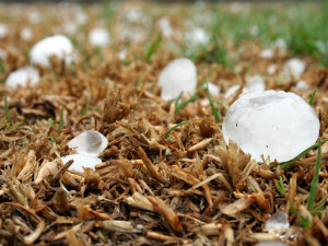 POČASÍ NA STŘEDU: Nad jižní Moravou se přeženou bouřky. Meteorologové varují před kroupami a silným větrem