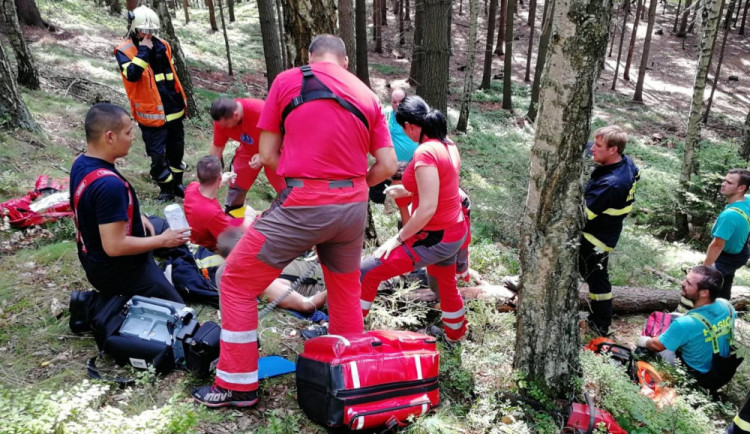 Hasiči vyprošťovali muže z ocelového lana, uvízl v něm při kácení stromu