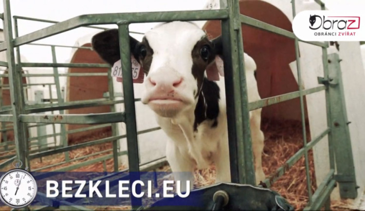 Jeden ze zveřejněných záběrů