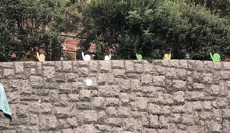 A jsou zpět! Šneci opět dobývají Liberec, tentokrát vylezli až k obrům