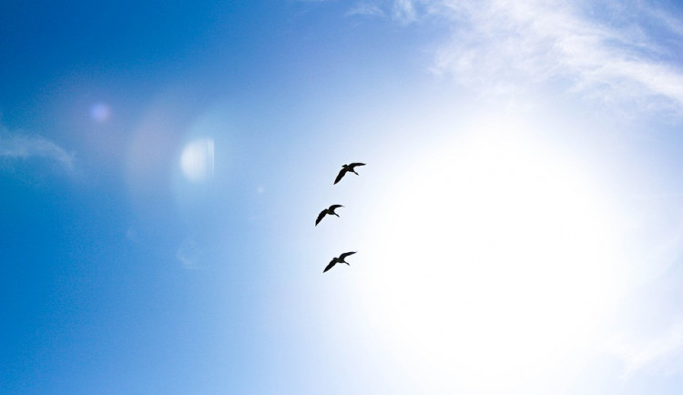 V sobotu se teploty přehoupnou přes pětadvacet