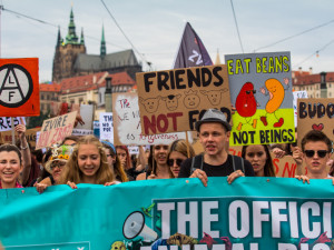 Historicky první Animal Rights Watch