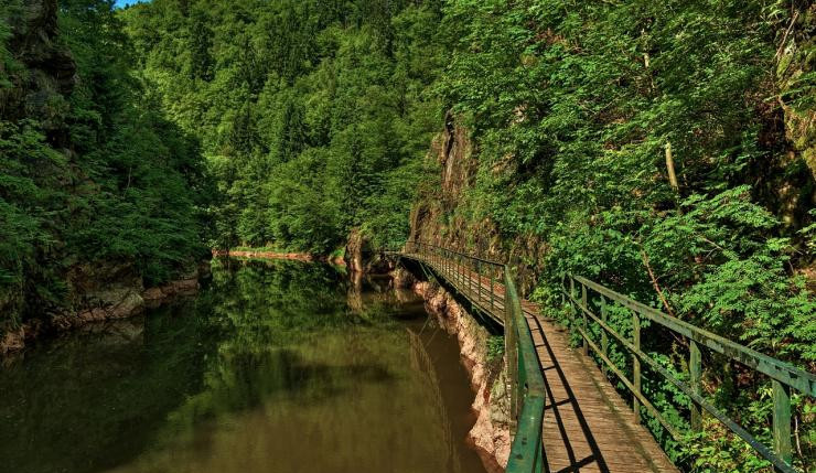 O čistotu a vzhled Riegrovky bude pečovat město společně s turisty a skauty