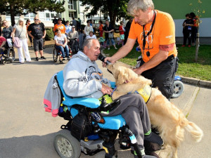 Vinohradské vozíkohraní