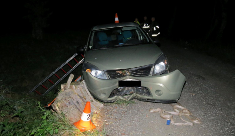 Při dopravní nehodě na Jindřichohadecku zemřel senior