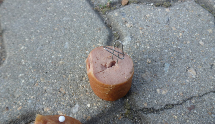 Ve Stromovce někdo pohodil uzeniny napíchané špendlíky