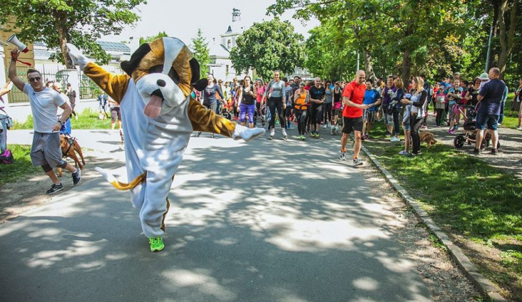 Po charitativních bězích pro útulky vznikla i sbírka, pomůže psům i týraným koním