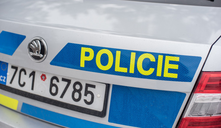 Muže během vykládání zásilek překvapil had, po uštknutí skončil v nemocnici