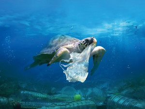 Festival Voda Moře Oceány: Zvítězí doba plastová?