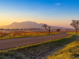 Na jižní Moravě se za první pololetí zvýšil počet obyvatel téměř o dva tisíce lidí