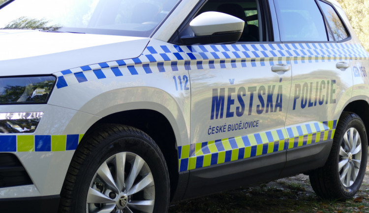 Namol opilá matka vzala děti na vycházku, procházela se s nimi po silnici