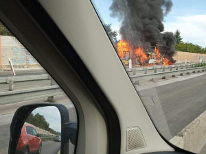 70173830_2471761652890794_671479018167468032_n