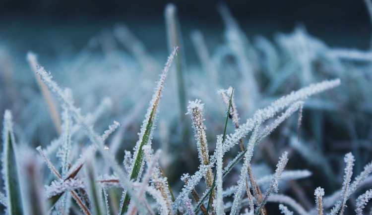 Teplota na Šumavě klesla k minus osmi stupňům, v platnosti je další výstraha