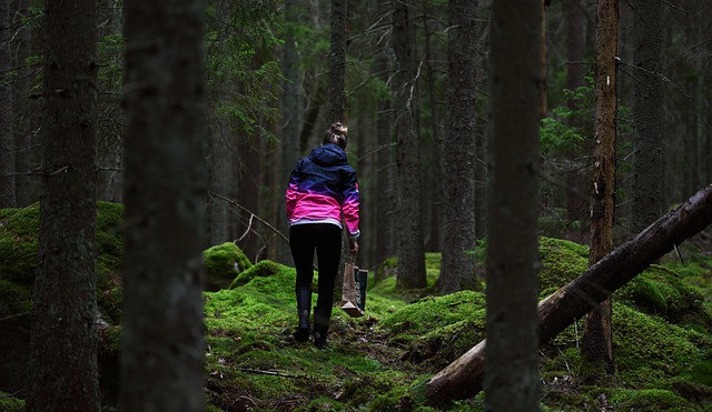 Houbaři vyrazili do lesa, s košíkem ale bez mobilu. Do terénu museli policisté i psovodi