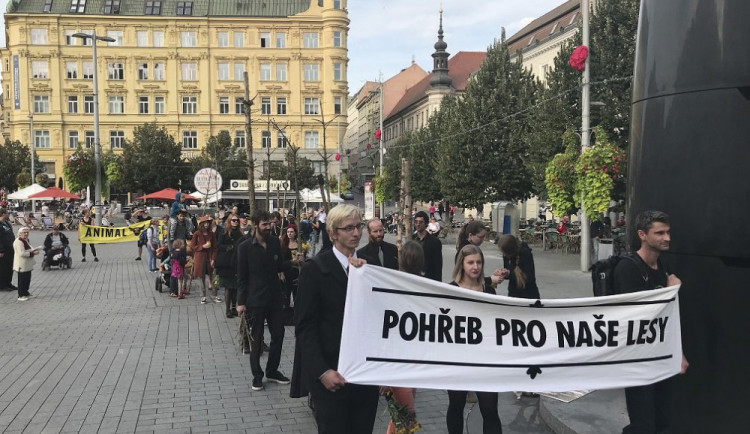 Aktivisté ponesou Libercem suché stromy, chtějí upozornit na klimatické změny