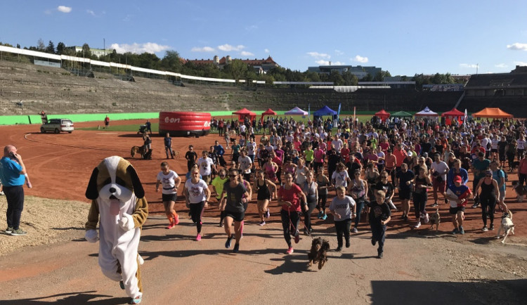 Celý běh vedl maskot Běhejme a pomáhejme útulkům.